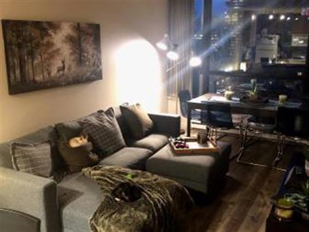 Heart of Yaletown - 1 Bed / 1 Bath & Den / Parking