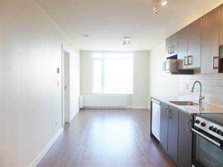 1BR in False Creek - Pet Friendly - Modern suite + Amenity