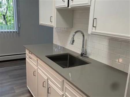 BEAUTIFUL ALL NEWLY RENOVATED 1 BEDROOM