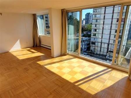 Large Bright Pet Friendly Studio available Dec. 15th