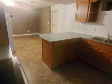 2 bedroom 1 bath basement suite for rent