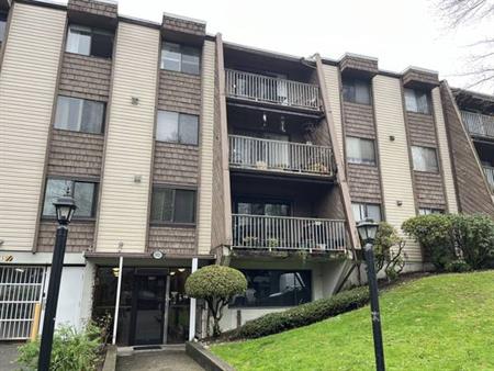 Burnaby North Specious Large 3 bed condo Avail Dec.1