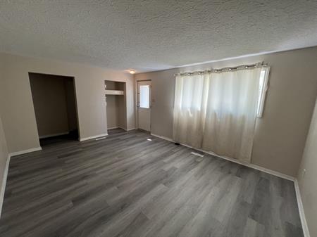 (PN 938B) Beautiful Open Concept Basement Suite in Calder | 10 126 St NW, Edmonton