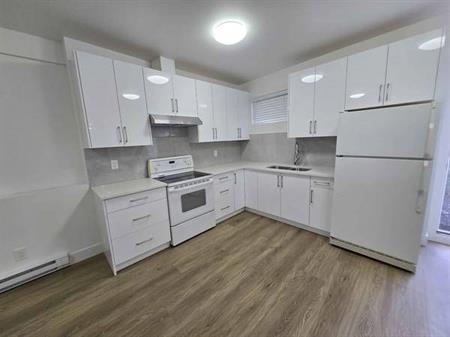 Newly renovated 1 bedroom / 1 bathroom basement unit