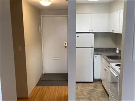 Beautiful One Bedroom on Quiet Tree Lined Street - West End Downtown