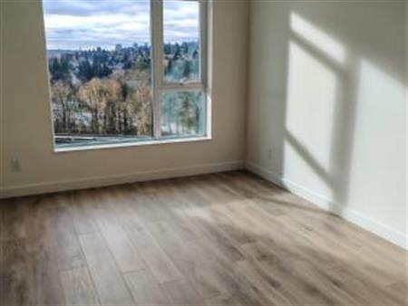 Brand new one bedroom with parking spot at Lougheed mall