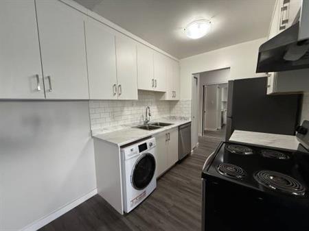 Spacious and Renovated 2-Bedroom Apartment MOVE IN READY