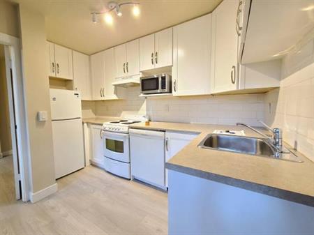 1 bedroom basement apartment unit in Kitsilano Vancouver