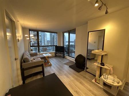 Bright and Spacious Apartment for Rent at the News