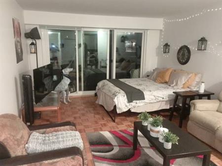 Brand New Studio Apartment for Sublet