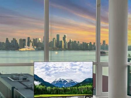 Georgous 3 bedrm Renovated Condo Stunning View