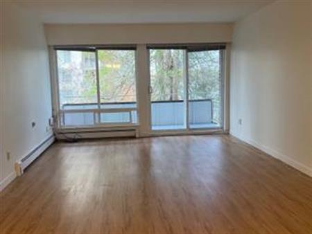 Renovated 1Bed1Bath Apartment suite in the heart of Kerrisdale