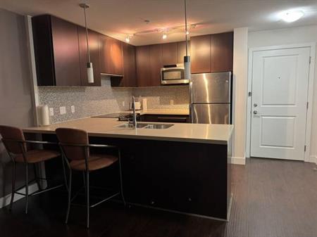 Condo for Rent South Surrey - Like new! Best Location!