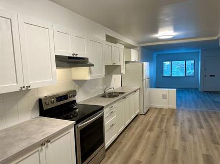 COMPLETELY UPDATED TWO BEDROOM GROUND LEVEL UNIT