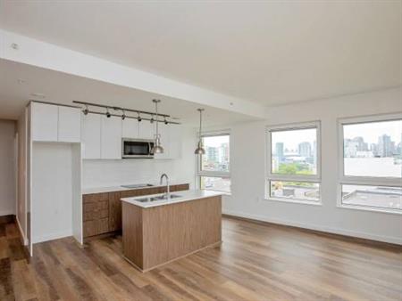 Rooftop Lounge, Kitchen Island, Pendant Lighting