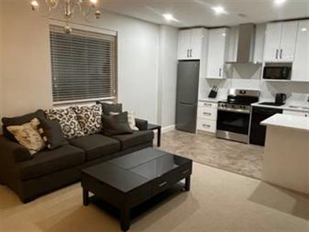 Furnished spacious 1bdrm basement suite