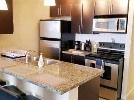 Luxury 1bed+den in downtown, pet friendly with parking!