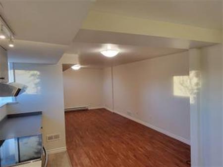 Bright basement suite in Hastings Sunrise