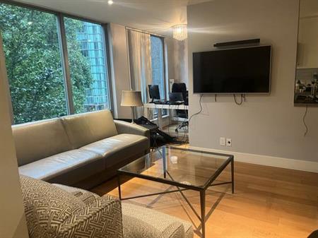 Furnished 1 Bed Condo Downtown Vancouver ** DECEMBER ONLY **