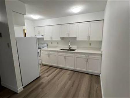 Two bedroom unit in a PET FRIENDLY BUILDING