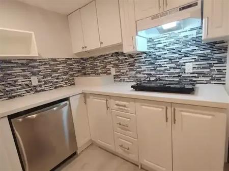 Avaiable: Dec.1 - Bright 2 BDRM, 1 parking  1 Bath, Central Furnance + AC,  Separated Entry, Fenced yard Basement Unit in Cen