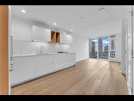 Newly build One bed One Bath Beautiful View Highrise Apartment