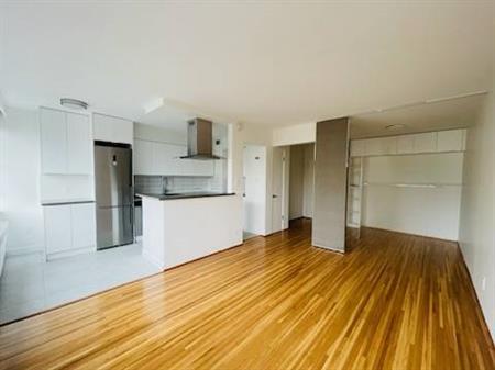 Spacious Open Concept Studio West of Denman