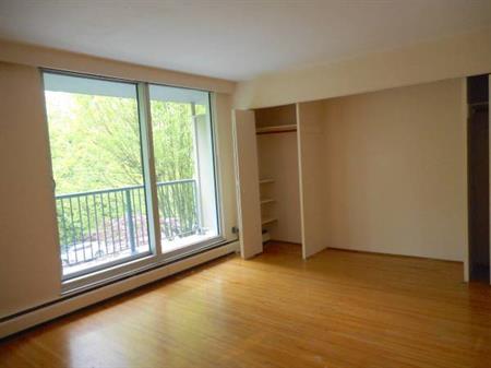 SPACIOUS STUDIO WITH BALCONY