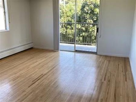 Spacious One Bedroom Apartment Rental Bldg