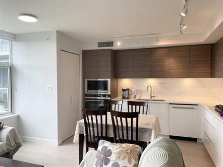 1B1B Fully Furnished Apartment (near Richmond Center)