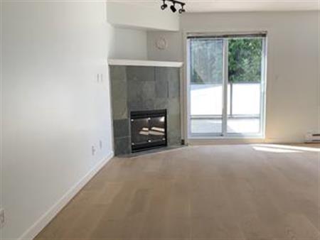 Westside 1 bedroom newly renovated w/fireplace & parking