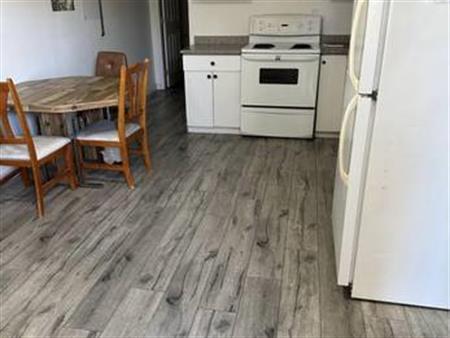 2 Bedroom Basement for Rent $1550