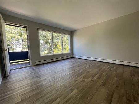 Spacious Newly Renovated 2 Bedroom Near Downtown