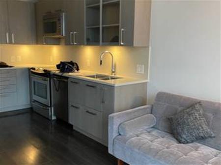 1 BR/PENTHOUSE Strathcona