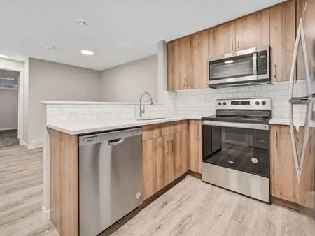 Luxurious Two Bedrooms + two Baths Basement Available for Immediate Possession | 1053 Mahogany Boulevard Southeast, Calgary