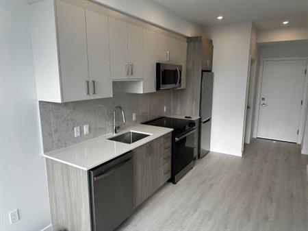 Brand New 1Bed/1Flex/1bath for Rent