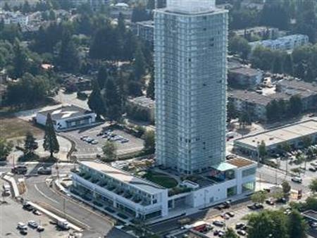 Surrey Central Skytrain - Studio with Parking & Storage - Pets okay