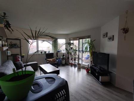 One Bedroom Apartment in the heart of Kitsilano