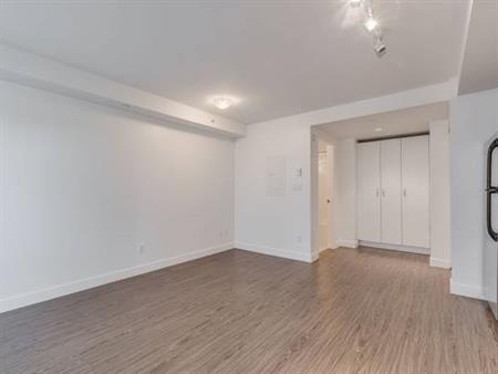 GORGEOUS STUDIO APT, PET FRIENDLY-RICHMOND