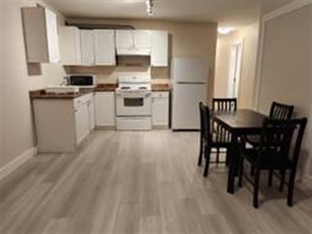 Two bedroom basement suite near Joyce station