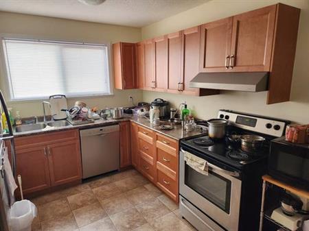 Large 2bedroom 1800 SqFt townhouse with large rec room