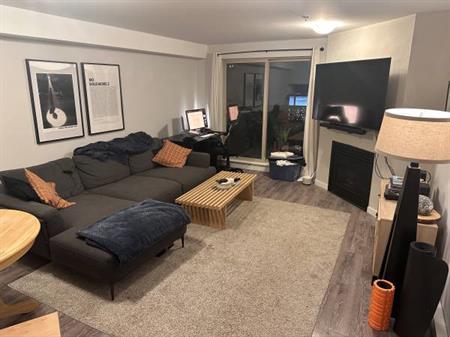 Squamish - December 1 Month Sublet - Furnished 1bed 1 bath