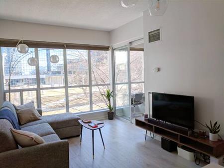 Spacious super clean Downtown Toronto Furnished Condo with Parking ava