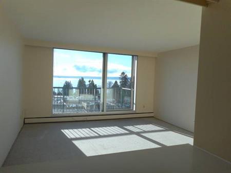 OCEAN VIEW RENOVATED 1 BEDROOM