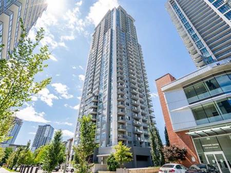 Beautiful 1 bed 1 bath studio Surrey Central