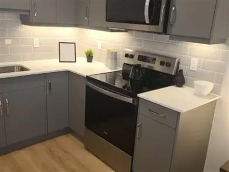 Two Bedrooms Legal Suite (Furnished) | Calgary