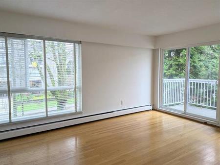 Roomy 1 bedroom in central Kits