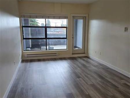 Pet Friendly Unfurnished Studio + Patio Apartment (6638 Main St)