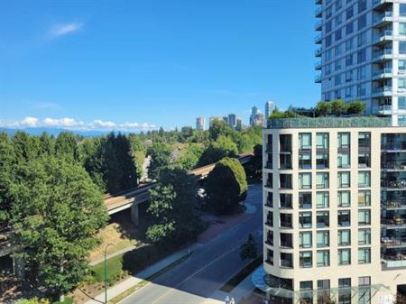 Lovely and bright, walk to Joyce skytrain, pets welcome