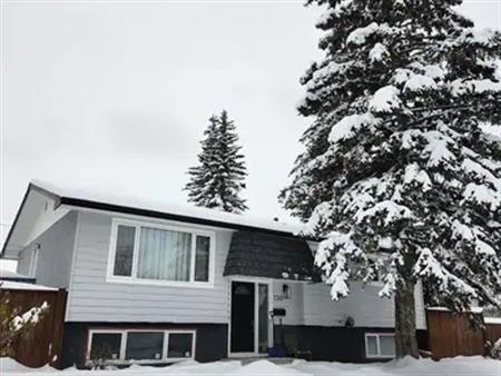 Completely Renovated Main Floor | Calgary